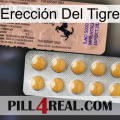 Erección Del Tigre 41